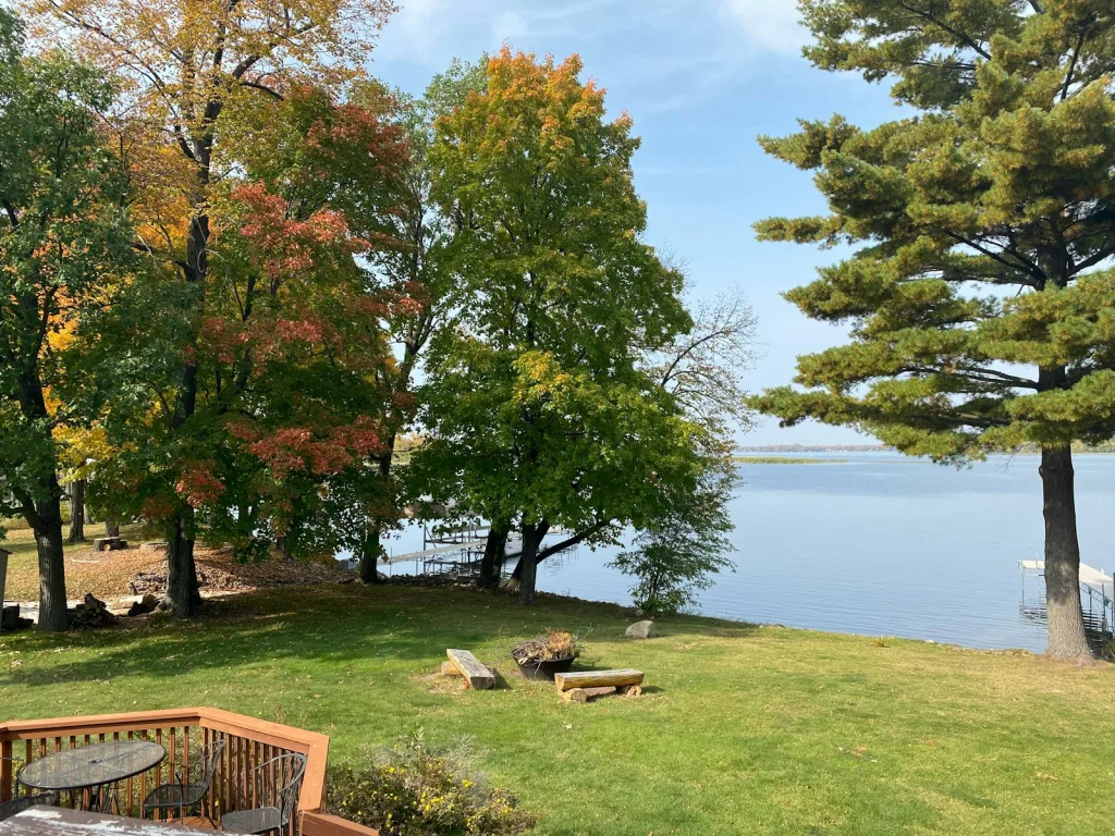 a grassy area with trees and a body of water in the background