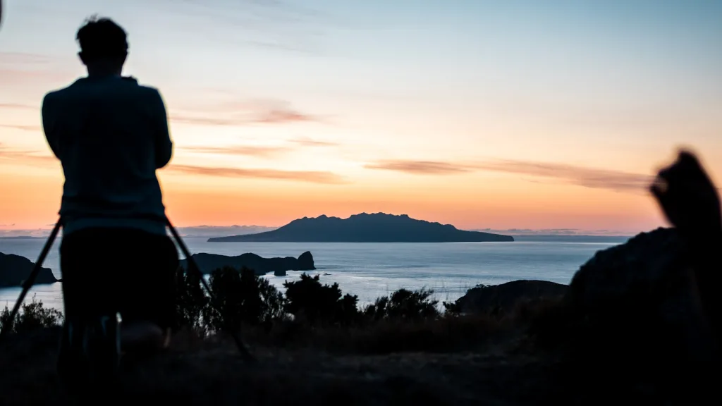 silhouette of person standing on grass near body of water during sunset