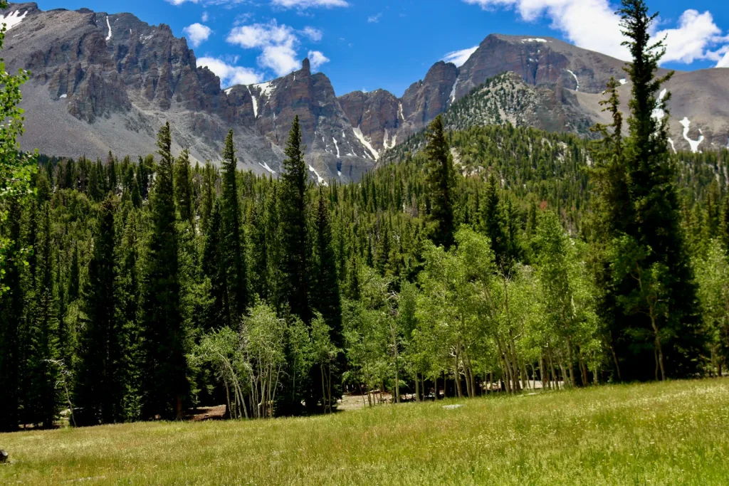 a grassy field with trees and mountains in the background