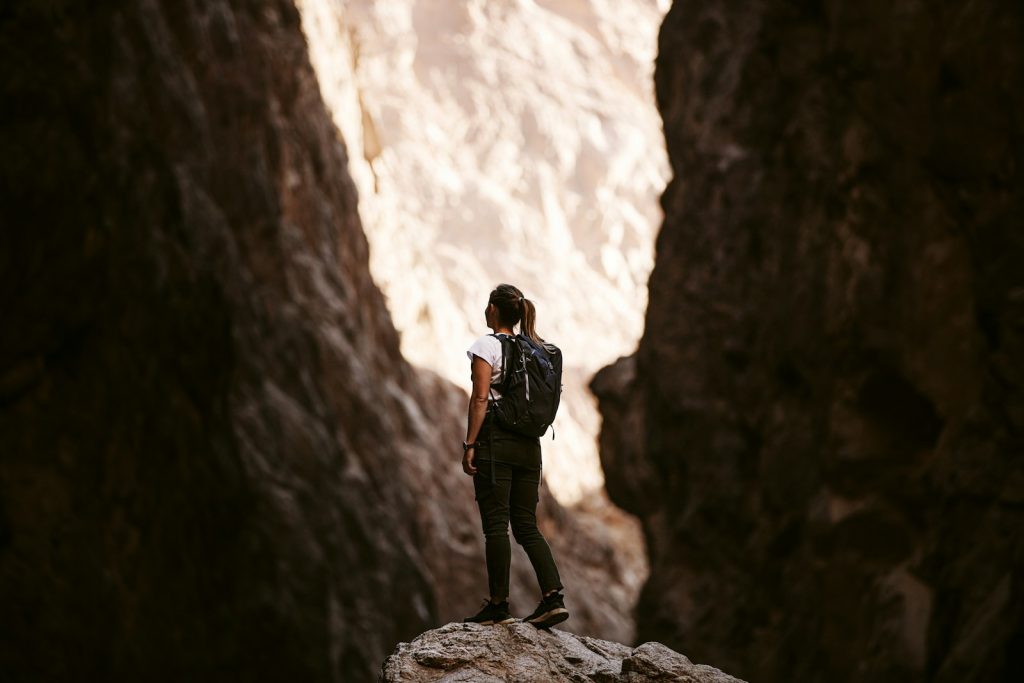 a person standing on a rock in a canyon