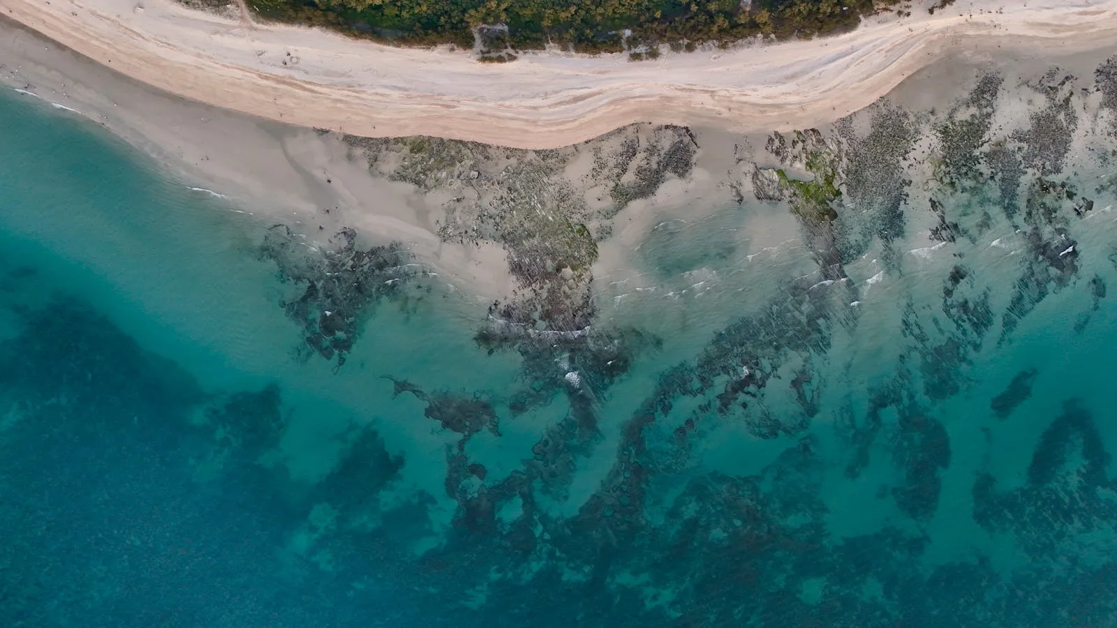 Drone Shot of a Coastline with Turquoise Water