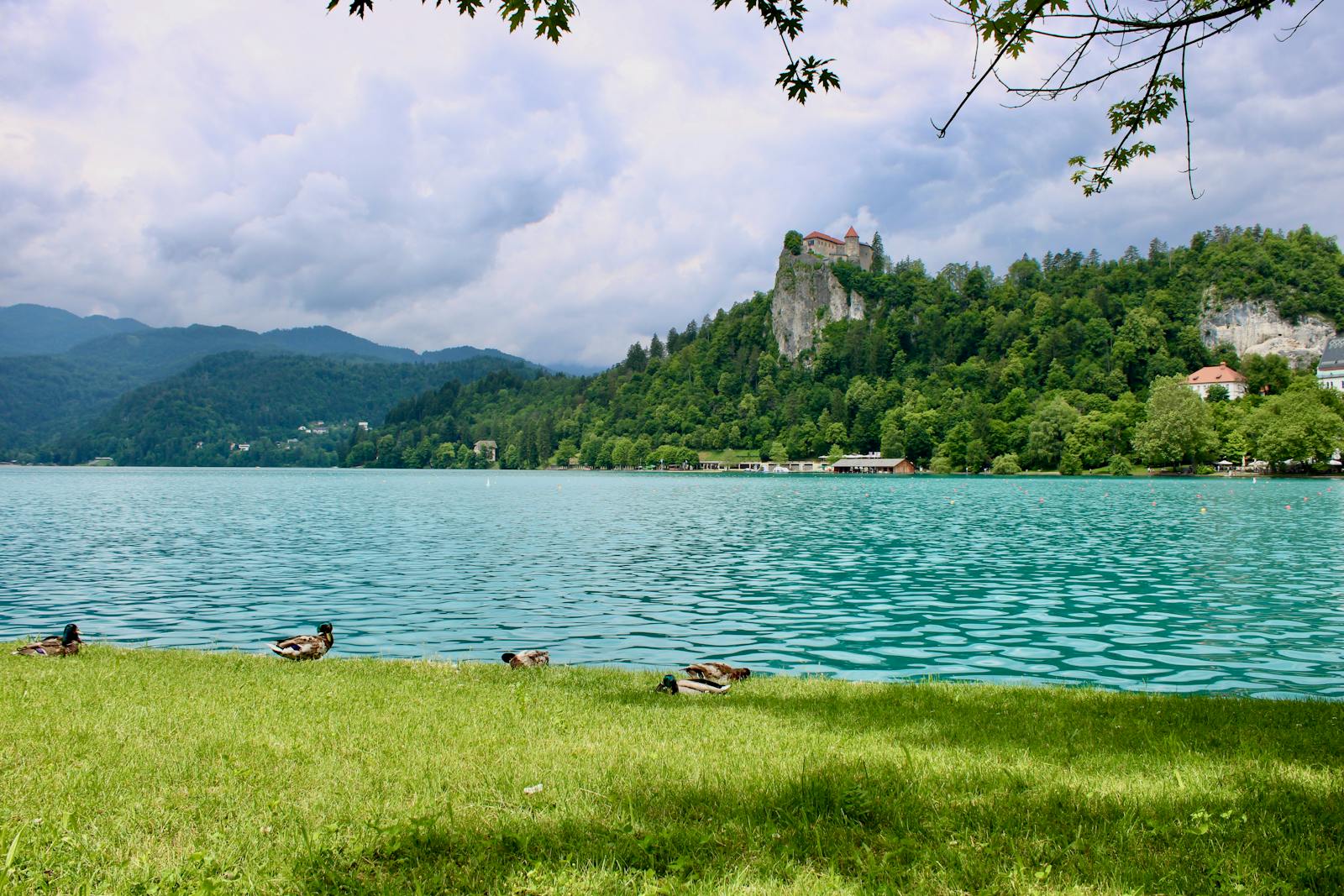 Bled Castle