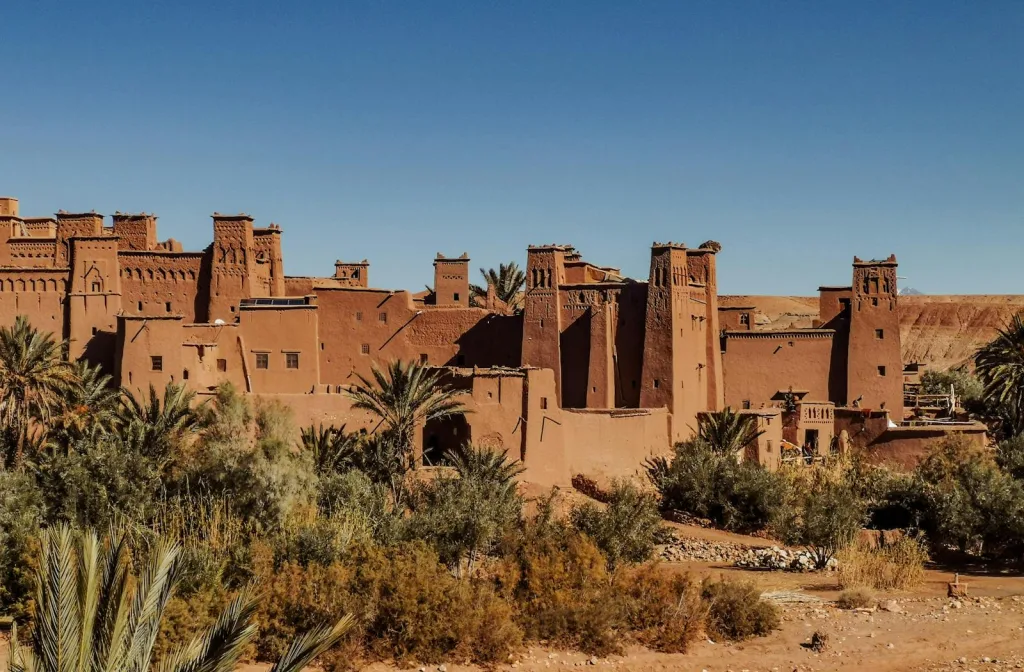 Exterior of old masonry buildings with square shaped windows near dry sandy terrain with growing palm trees and grass under blue sky