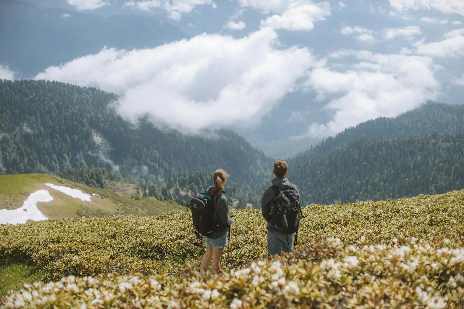 A Couple Looking at the Scenery