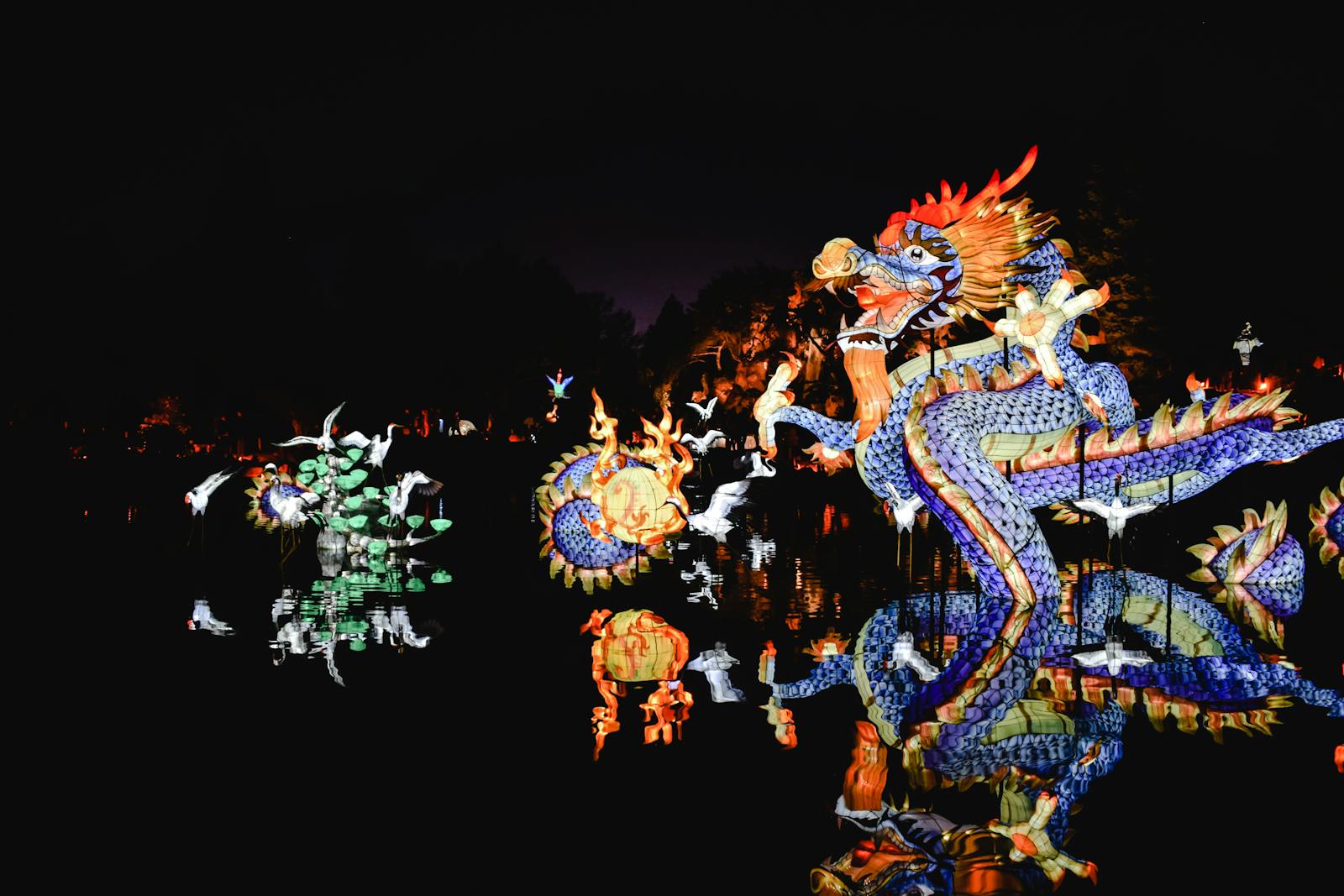 Dragon Festival During Nighttime